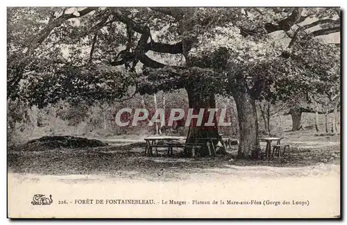 Cartes postales Foret de Fontainebleau Le Murger Plateau de la Mare aux fees (gorge des loups)