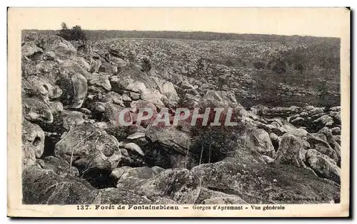 Ansichtskarte AK Foret de Fontainebleau Gorges d Apremont Vue generale