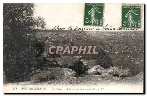 Cartes postales Fontainebleau La foret Les gorges de Franchard