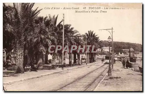 Cartes postales Toulon Les palmiers