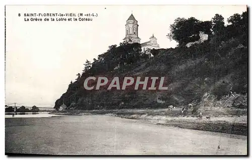 Cartes postales St Florent le Vieil La greve et la Loire et le coteau