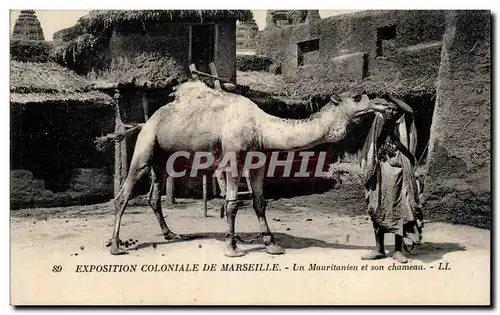 Marseille - Chameau - Camel - Exposition Coloniale - Un Mauritanien - Ansichtskarte AK