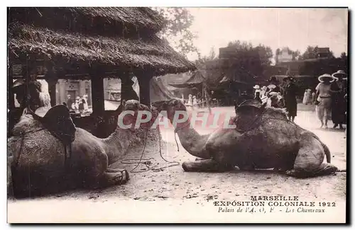 Marseille - Exposition Coloniale 1922 - Palais de l A O F - chameau - camel - Cartes postales