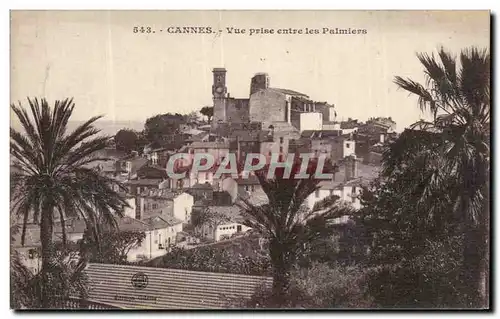 Cannes - Vue prise entre les Palmiers - Cartes postales