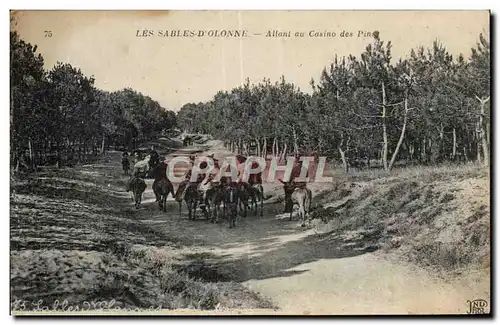 Sables d Olonne - Allant au Casino des Pins - ane - donkey - Ansichtskarte AK