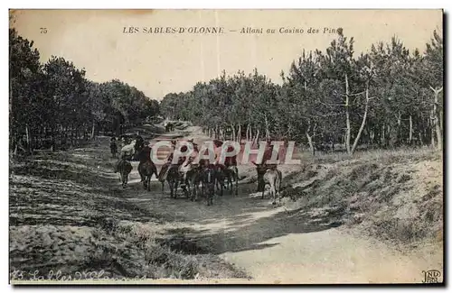 Sables d Olonne - Allant au Casino des Pins - ane - donkey - Cartes postales