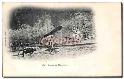 Ansichtskarte AK Chalet de montagne Vache