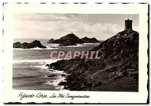 Corse - Corsica - Ajaccio - Les Iles - Cartes postales moderne