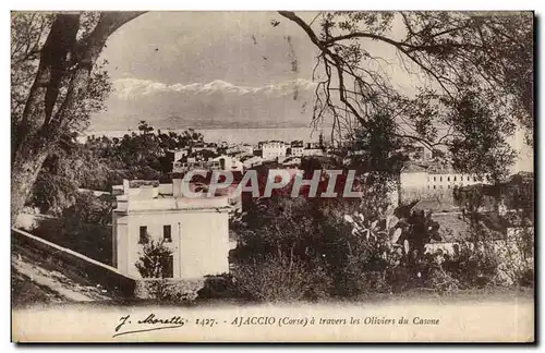 Cartes postales Corse Corsica Ajaccio a travers les oliviers du Casone