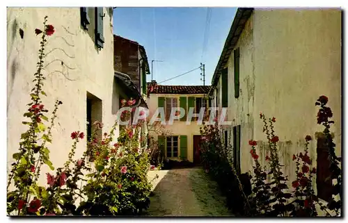 Ile de Re - Le Bois - Une jolie venelle - Cartes postales