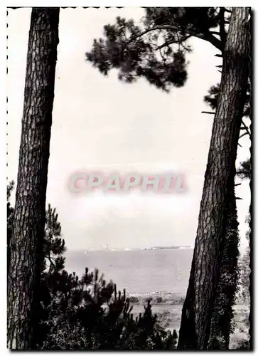 IIe d Oleron - Le Pointe du Chopus vue de St Trojan - Cartes postales