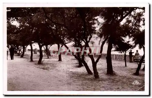 Fouras les Bains - Les Sepinettes - Cartes postales