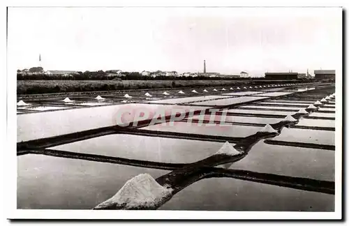 Ile de Re - Un Beau Marais Salant - Cartes postales