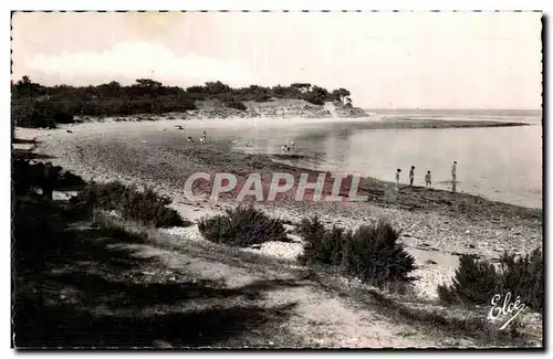 Ile de Re - La Plage de Trousse Chemise - Cartes postales moderne