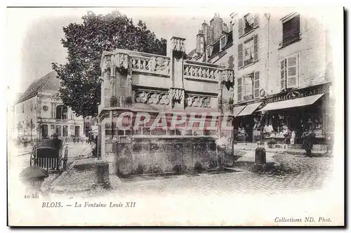 Cartes postales Blois La fontaine Louis XII