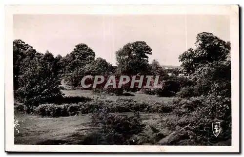 Cartes postales moderne Vailly sur Sauldre Les sables