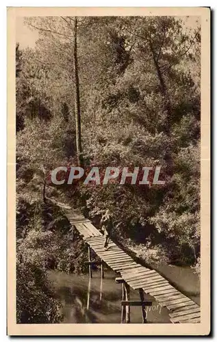 Les Landes de Gascogne - Pont rustique sur le courant d Huchet - Ansichtskarte AK