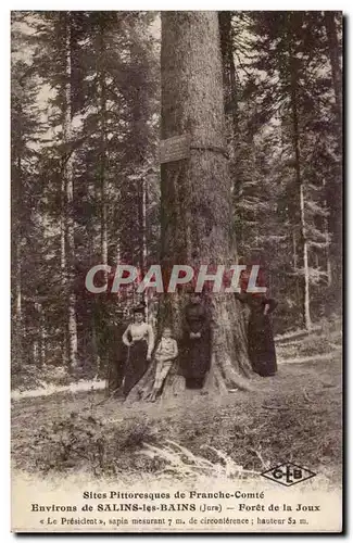 Salins les Bains - Foret de la Joux - Cartes postales