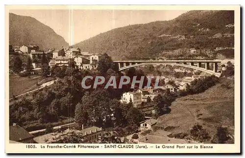 Saint Claude - Le Grand Pont sur la Bienne - Cartes postales