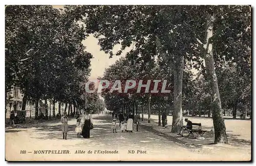 Ansichtskarte AK Montpellier Allee de l esplanade