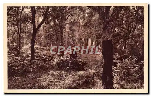 Cartes postales Les Landes de Gascogne Le retour a la ferme Paysan ( animee )