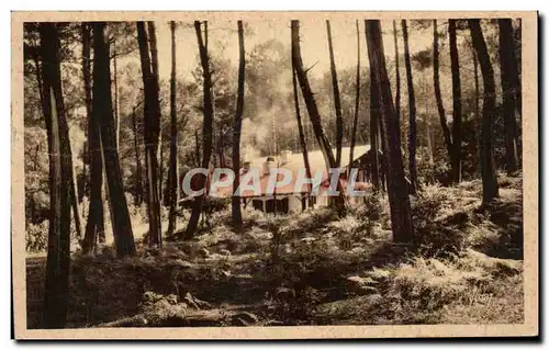 Cartes postales Hossegor Villa en foret en bordure du lac