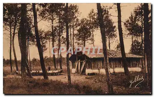 Cartes postales Dans les Landes de Gascogne Une bergerie