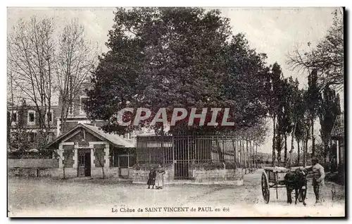 Cartes postales Le chene de Saint Vincent de Paul en etat Ane Donkey