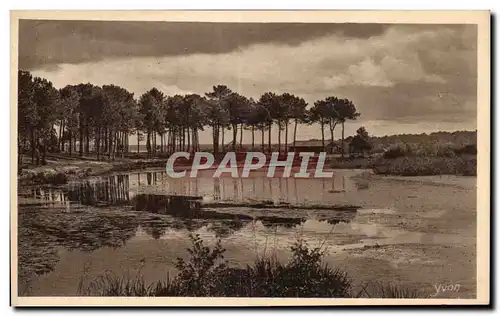 Cartes postales Les Landes Un coin de l etang d Aureilhan pres Mimizan