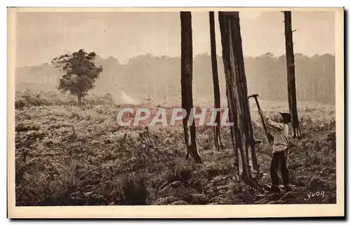 Cartes postales Les Landes des Gascogne Le resinier au travail