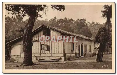 Cartes postales Les Landes des Gascogne Type de maison landaise