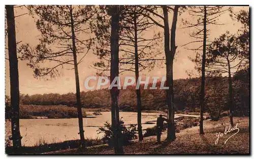 Ansichtskarte AK Dans les landes de Gascogne Paysage a Aureilhan