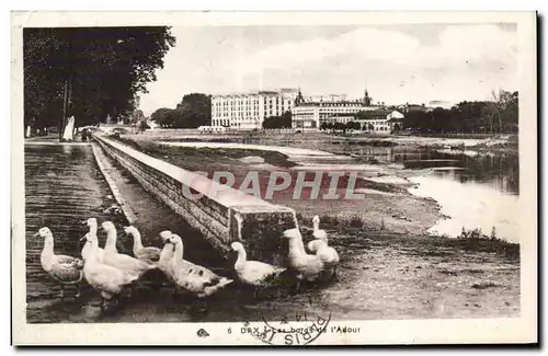 Cartes postales Dax Les bords de l Adour