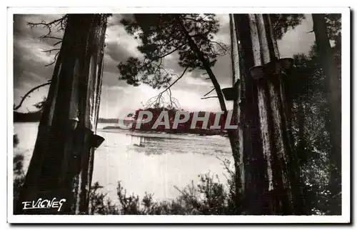 Hossegor - Lac Martin - Cartes postales