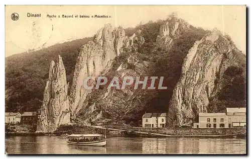 Cartes postales Belgique Dinant Roche et Bayard et bateau Mouettes