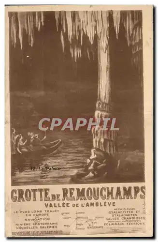 Ansichtskarte AK Belgique Grotte de Remouchamps Vallee de l Ambleve Le palmier