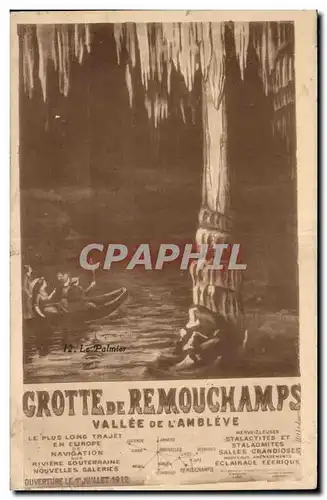 Cartes postales Belgique Grotte de Remouchamps Vallee de l Ambleve Le palmier