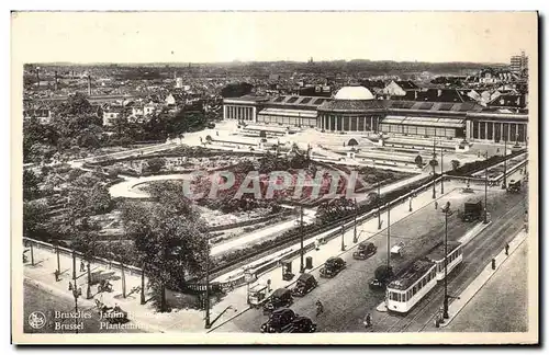 Cartes postales Brussels Botanic Gardens