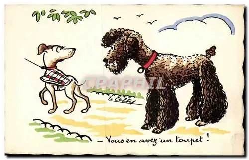 Cartes postales Fantaisie Vous en avez un toupet Chien