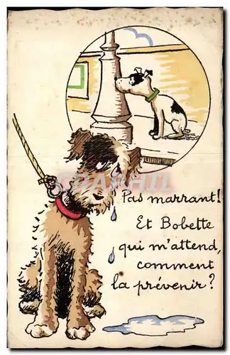 Cartes postales Fantaisie Chien