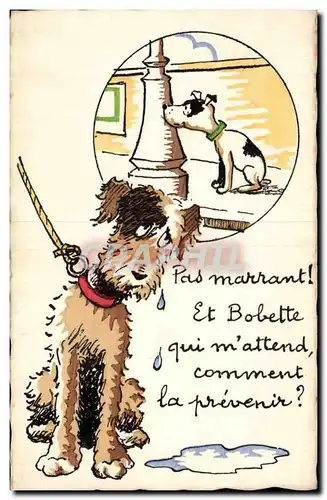 Cartes postales Fantaisie Chien