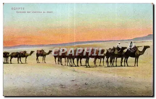 Afrique - Africa - Egypte - Egypt - Caravane des Chameaux - Ansichtskarte AK