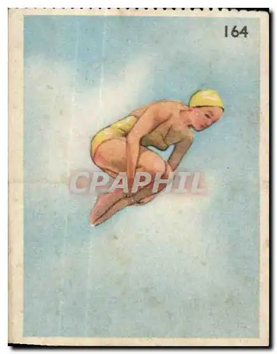 Image Les Sports La ruche moderne Sports Plongeoin Natation