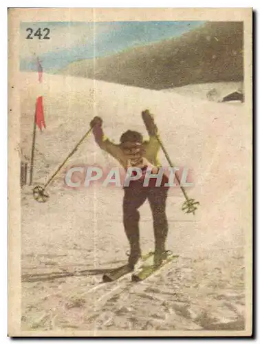 Image Les Sports La ruche moderne Sports Ski