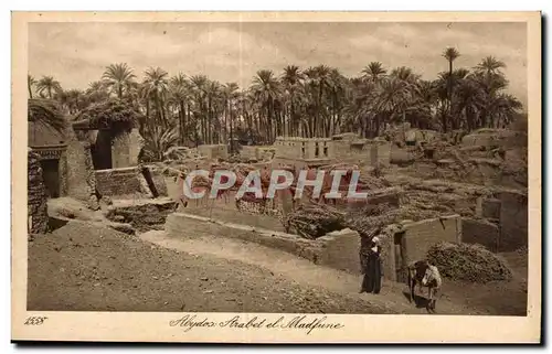 Afrique - Africa - Egypte - Egypt - Cartes postales