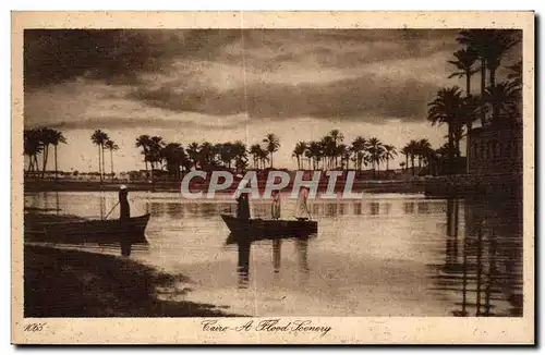 Afrique - Africa - Egypte - Egypt - Caire - Cairo - A Flood Scenary - Ansichtskarte AK