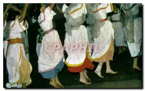 Israel - The Nightly Dances of Daliya - Cartes postales moderne