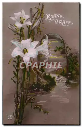 Cartes postales Fantaisie Fleur Bonne annee