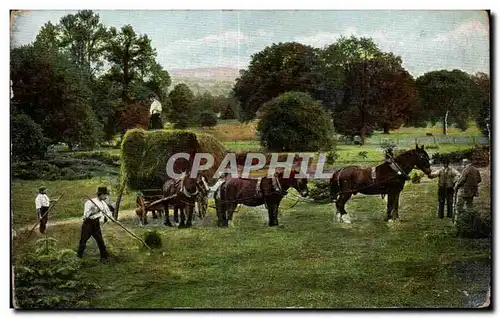 Cartes postales Fantaisie Scene agriculture cheval Horse paysans Champs