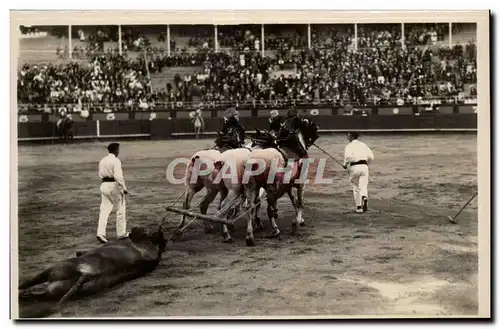Cartes postales Corrida Arrastre del Toro Le Taureau est entraine par les Chevaux